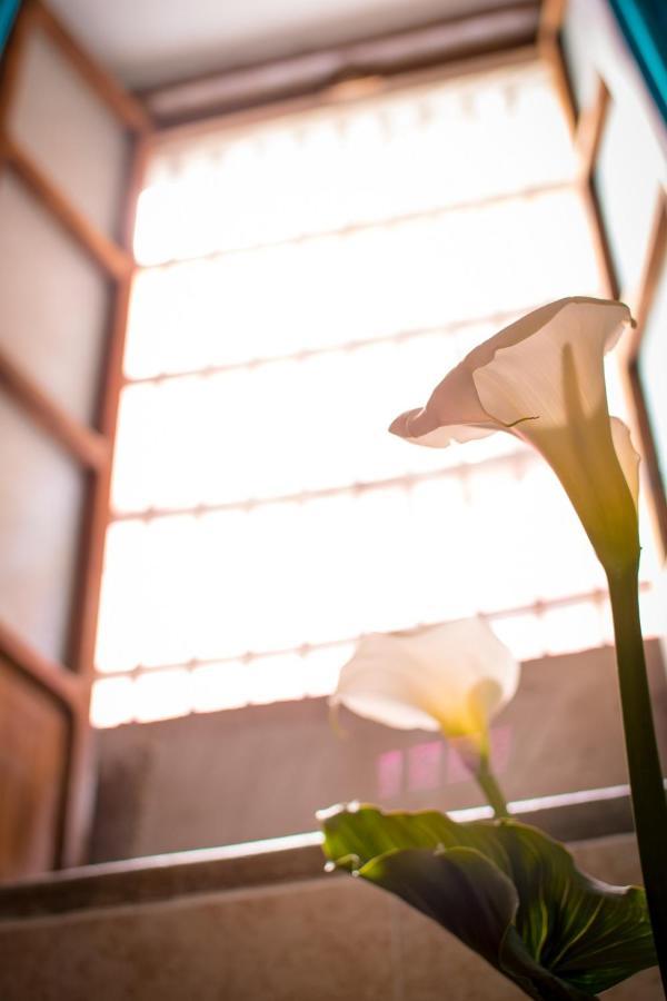 Casa Lupita Hostel กัวนาฮัวโต ภายนอก รูปภาพ
